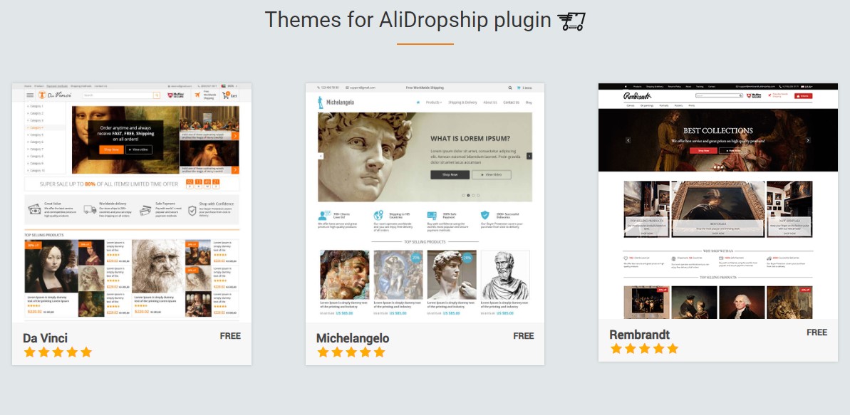 alidropship themes for your dropshipping website