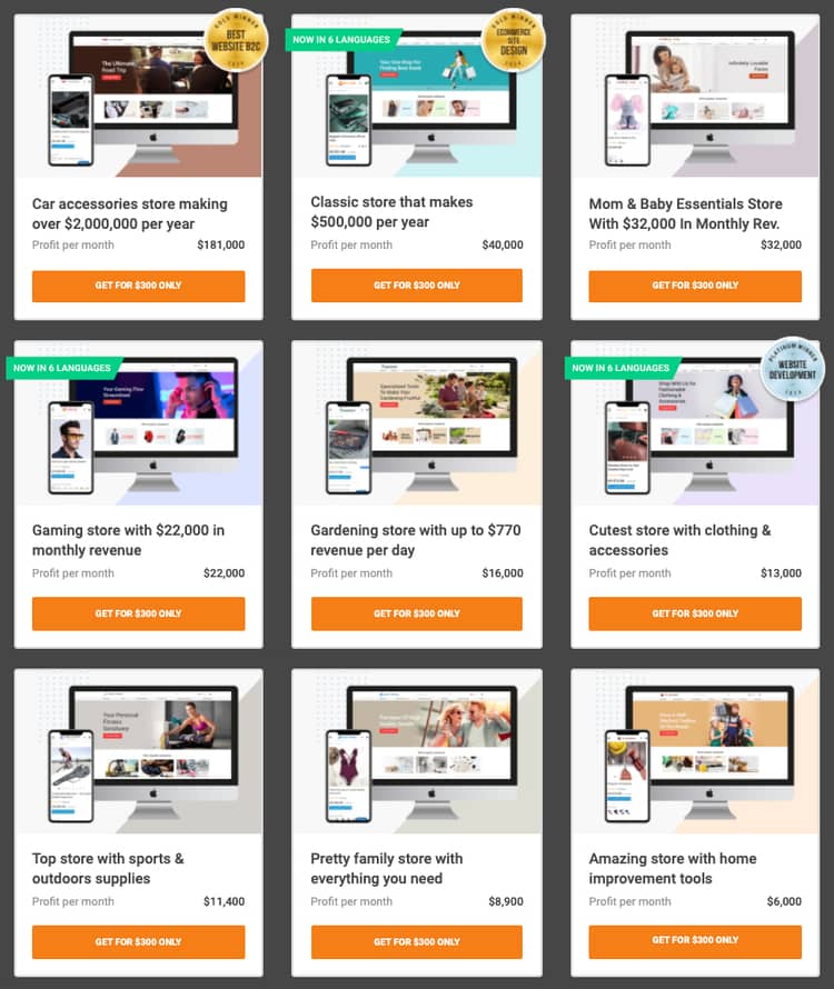 alidropship premium stores