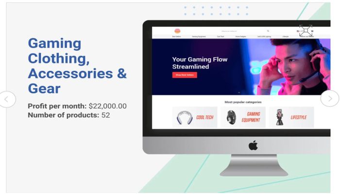 gamming dropshipping store