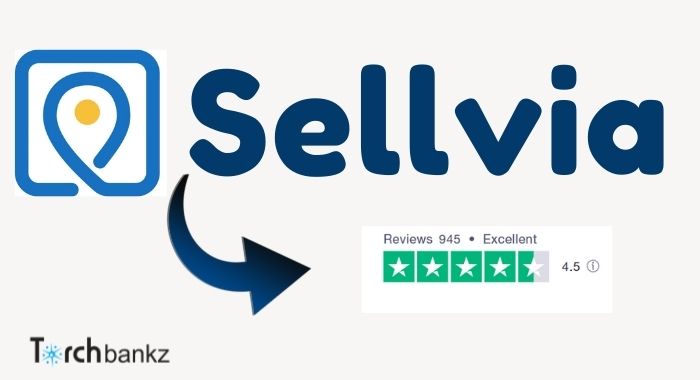 Sellvia Review: Real User’s Experience 2024 [Pros and Cons]