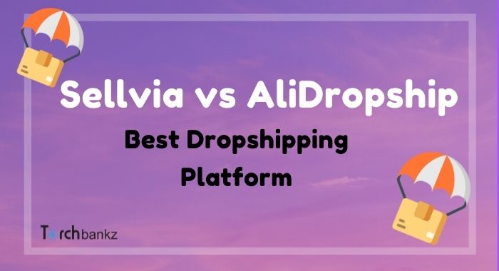 Sellvia Vs AliDropship: Best For Dropshipping?