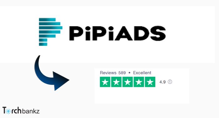 PiPiads Review