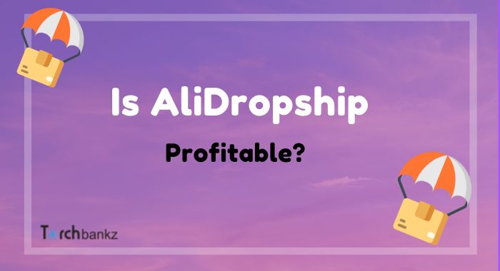 Is AliDropship Profitable?