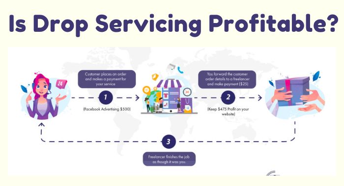 Is Drop servicing profitable?