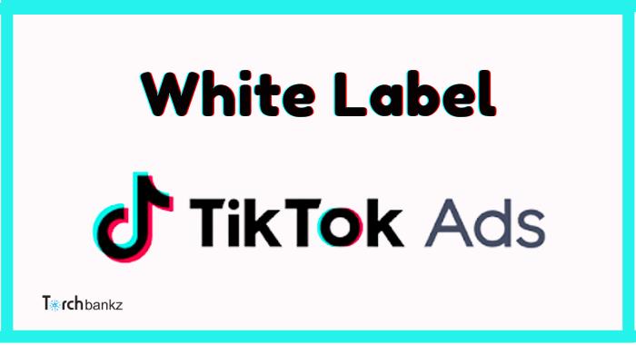 White Label TikTok Ads [The Top Providers]