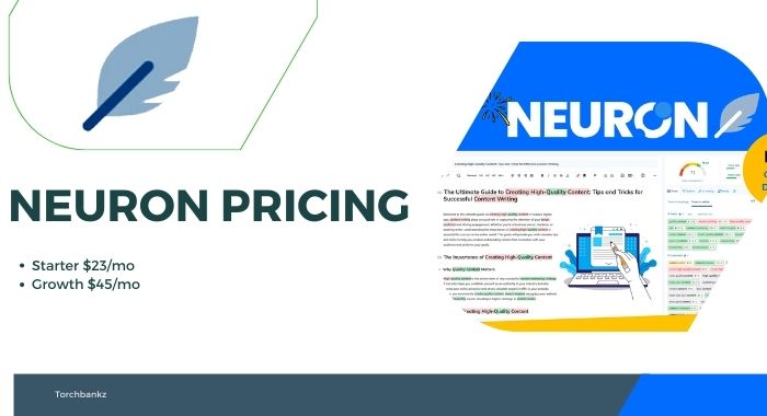 NeuronWriter Pricing